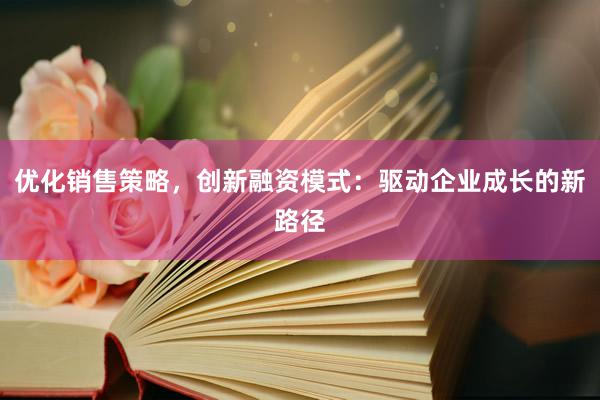 优化销售策略，创新融资模式：驱动企业成长的新路径